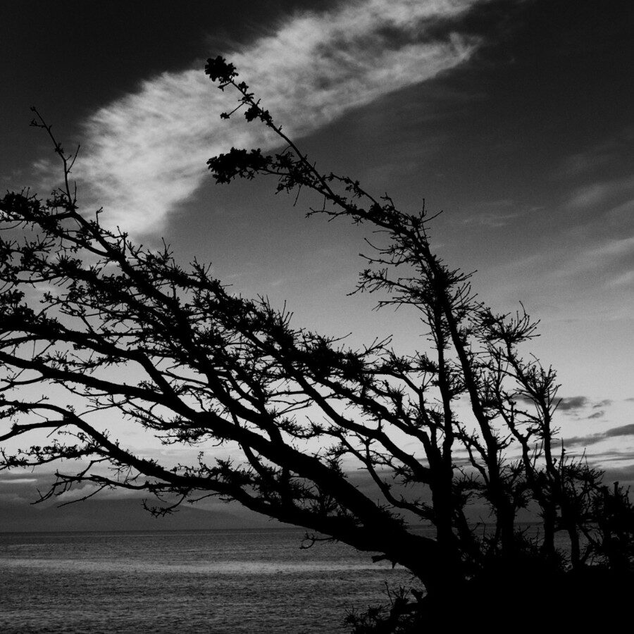 Winds at the Edge of My Soul